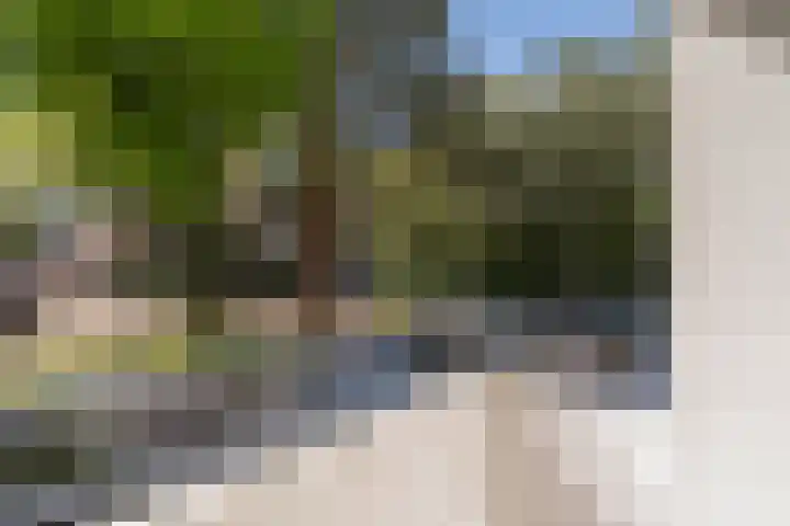 Tulpstraat 5 a Rijswijk thumbnail 8