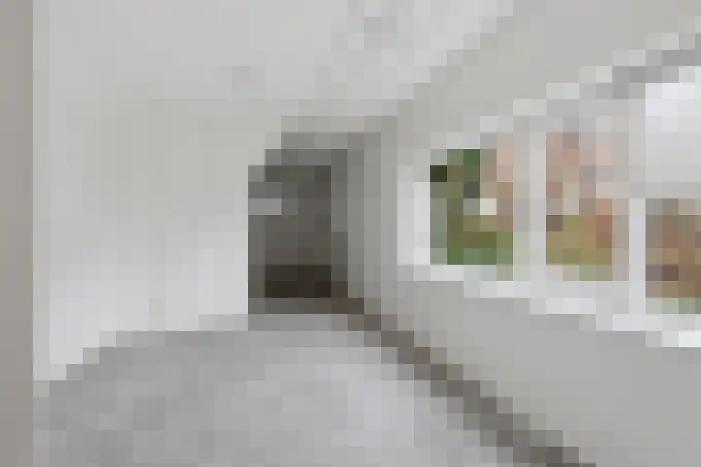 Tulpstraat 5 Rijswijk thumbnail 17