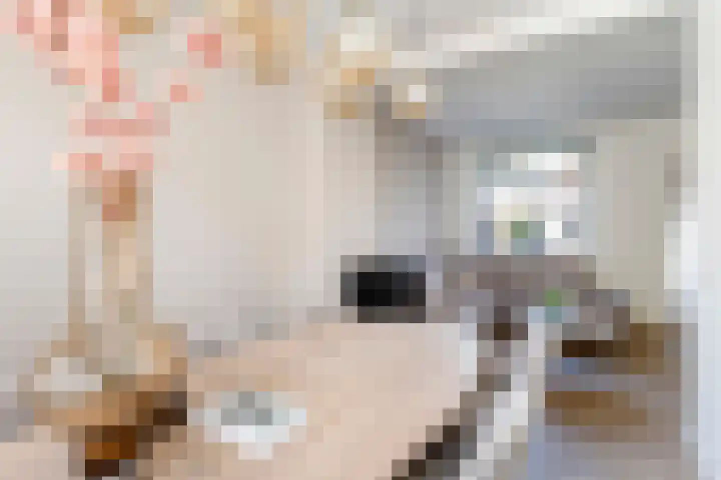 Tulpstraat 5 Tiel thumbnail 10
