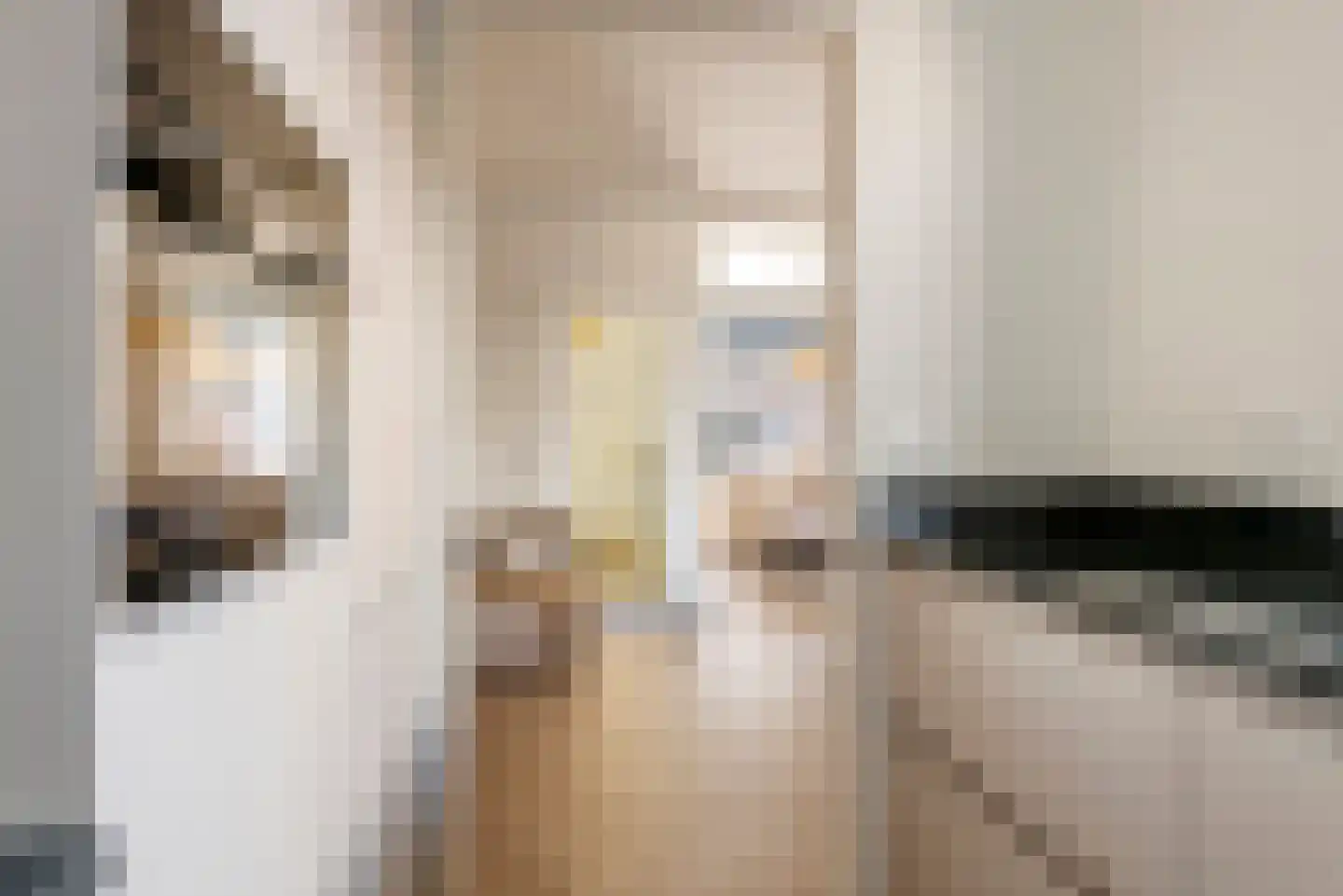 Tulpstraat 5 Tiel thumbnail 14