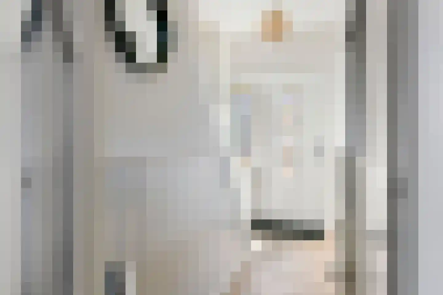 Tulpstraat 5 Tiel thumbnail 21