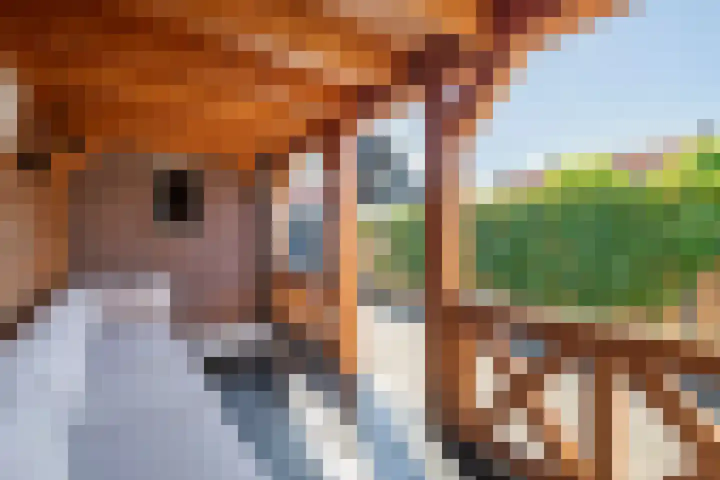 Tulpstraat 5 Tiel thumbnail 33
