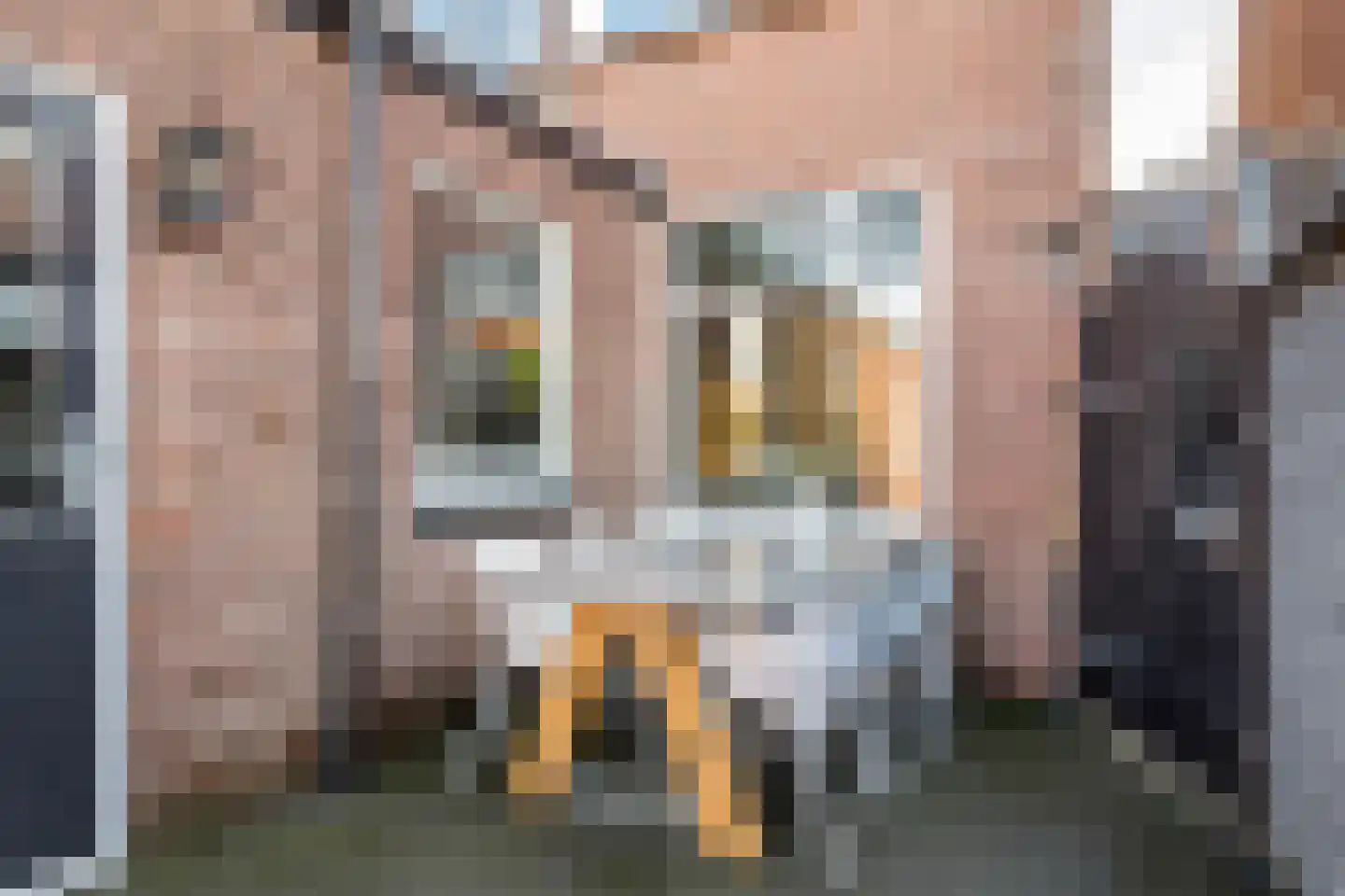 Tulpstraat 5 Tiel thumbnail 34