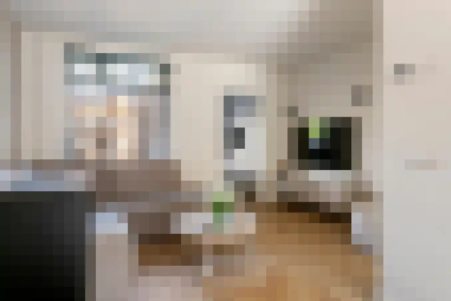 Tulpstraat 5 Tiel thumbnail 5
