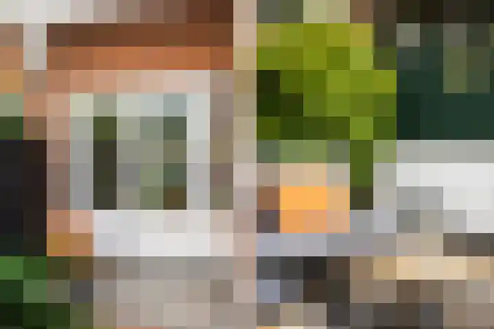 Tulpstraat 55 Zwolle thumbnail 12