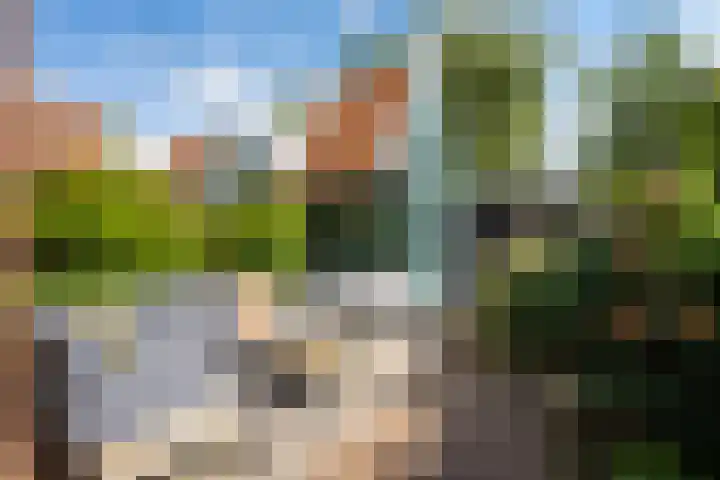 Tulpstraat 55 Zwolle thumbnail 13