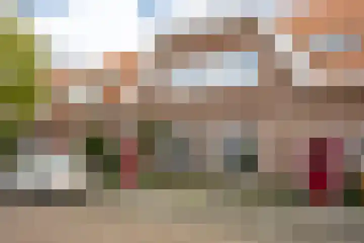 Tulpstraat 55 Zwolle thumbnail 25