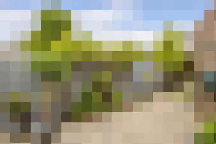Tulpstraat 56 Culemborg thumbnail 39