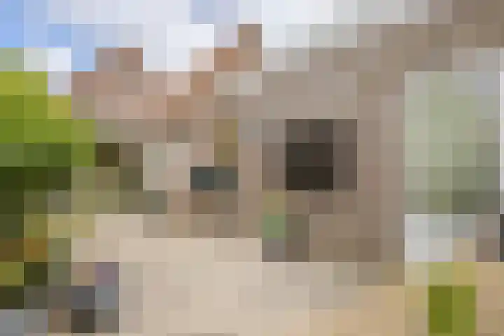 Tulpstraat 56 Culemborg thumbnail 4