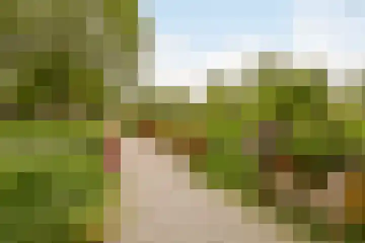 Tulpstraat 56 Culemborg thumbnail 43