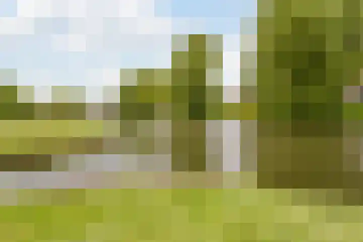 Tulpstraat 56 Culemborg thumbnail 44