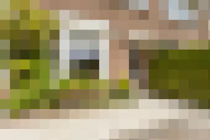 Tulpstraat 56 Culemborg thumbnail 5
