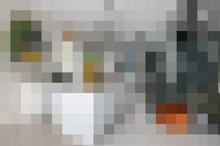 Tulpstraat 6 Rotterdam