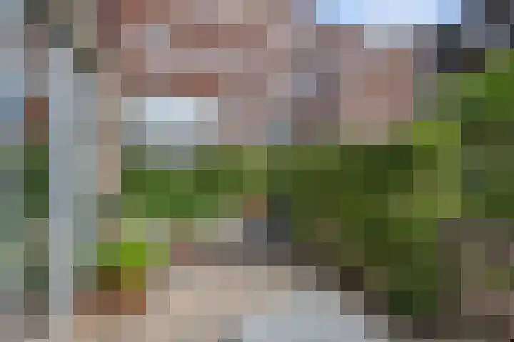 Tulpstraat 6 Rotterdam thumbnail 13
