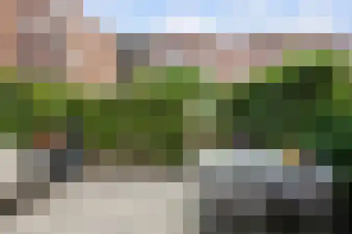 Tulpstraat 6 Rotterdam thumbnail 14
