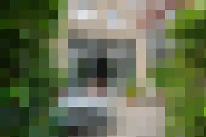 Tulpstraat 6 Rotterdam thumbnail 15