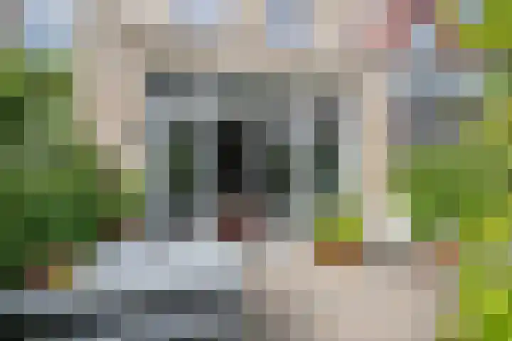 Tulpstraat 6 Rotterdam thumbnail 16