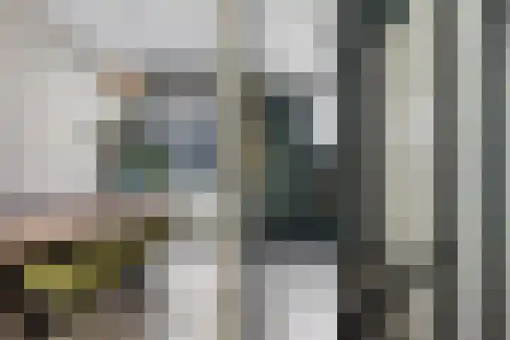 Tulpstraat 6 Rotterdam thumbnail 19