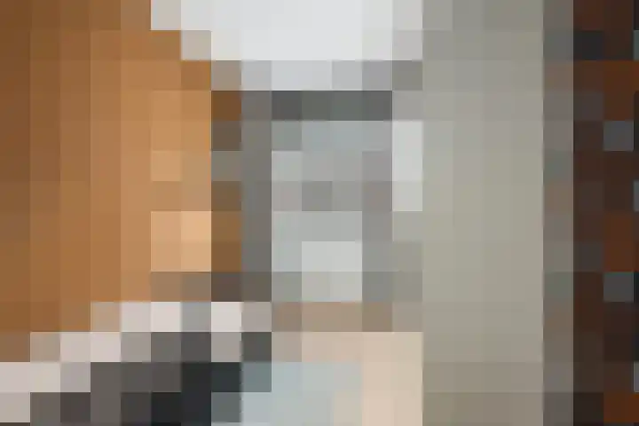 Tulpstraat 6 Rotterdam thumbnail 31