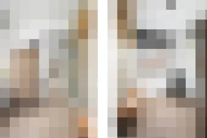 Tulpstraat 6 Rotterdam thumbnail 32