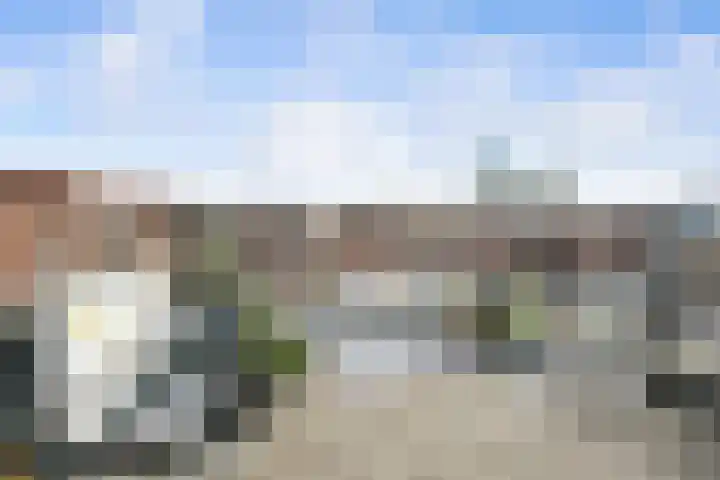 Tulpstraat 6 Rotterdam thumbnail 37