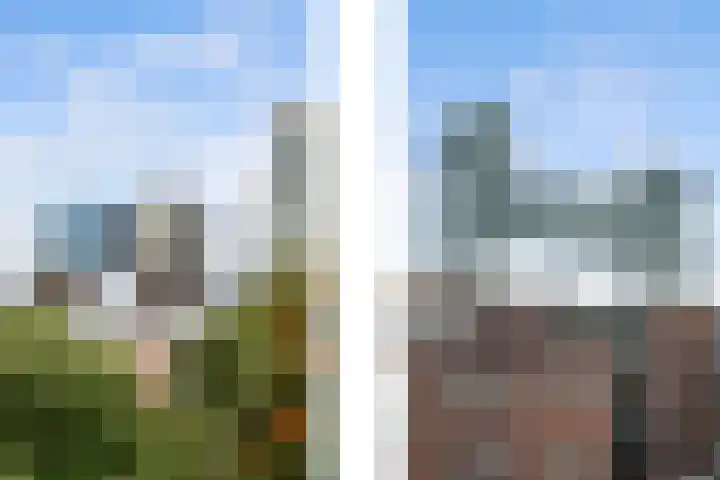 Tulpstraat 6 Rotterdam thumbnail 39