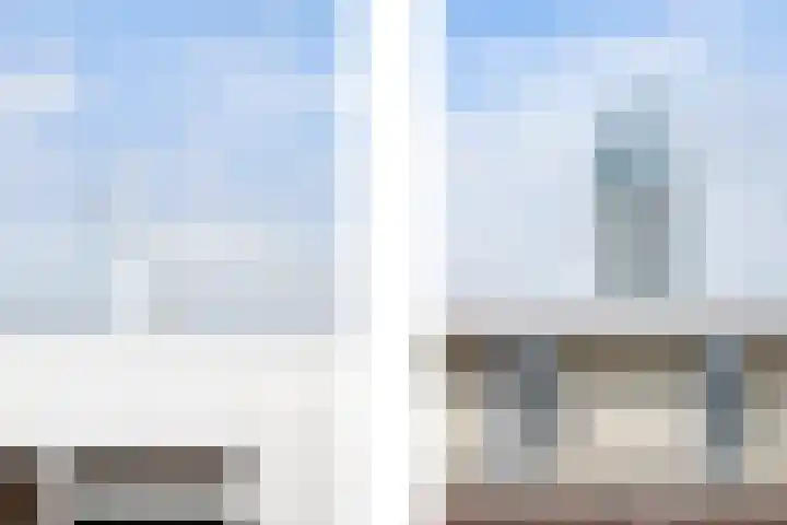 Tulpstraat 6 Rotterdam thumbnail 42
