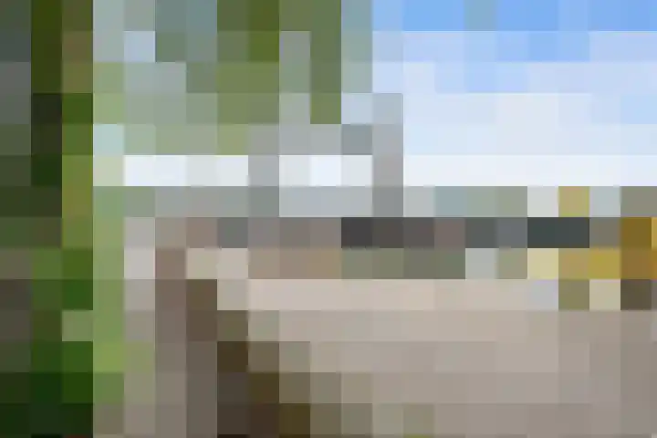 Tulpstraat 6 Rotterdam thumbnail 46
