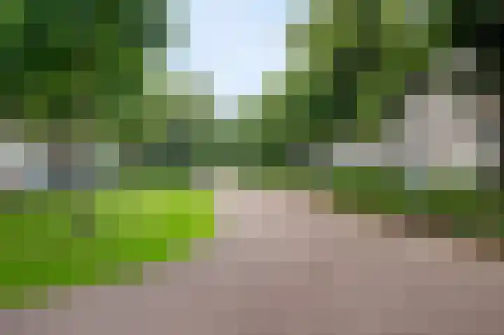 Tulpstraat 6 Rotterdam thumbnail 50