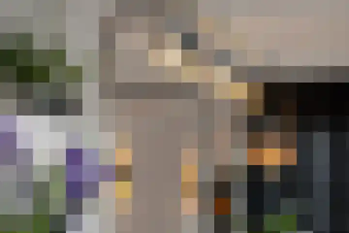 Tulpstraat 6 Rotterdam thumbnail 9