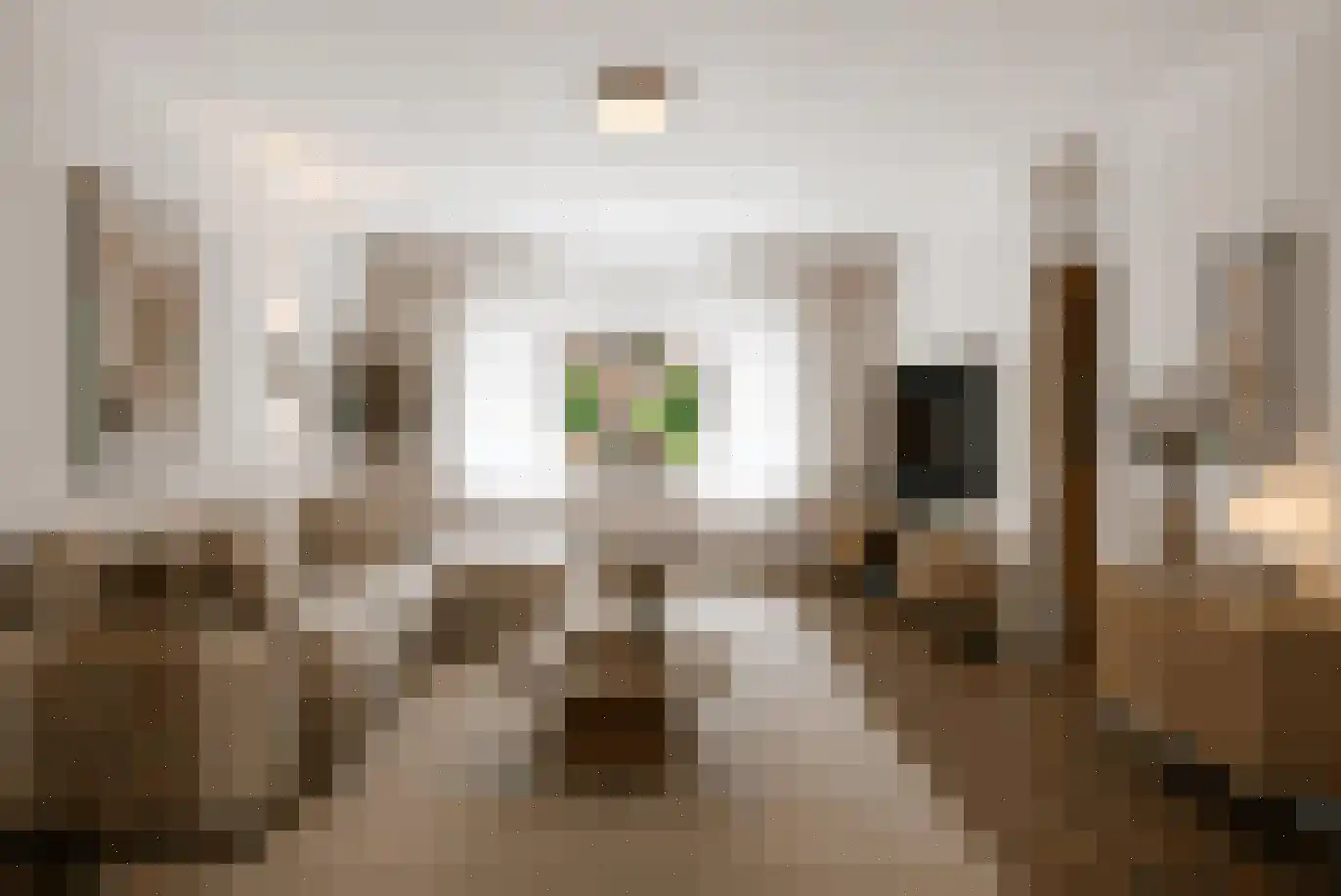 Tulpstraat 61 Losser thumbnail 10