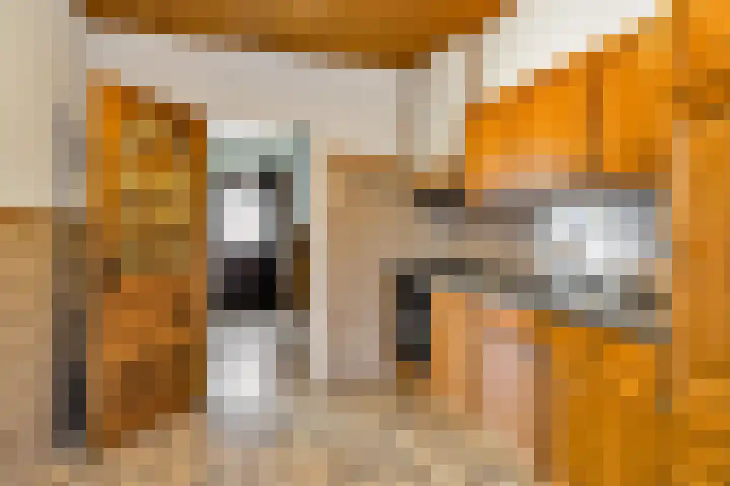 Tulpstraat 61 Losser thumbnail 12