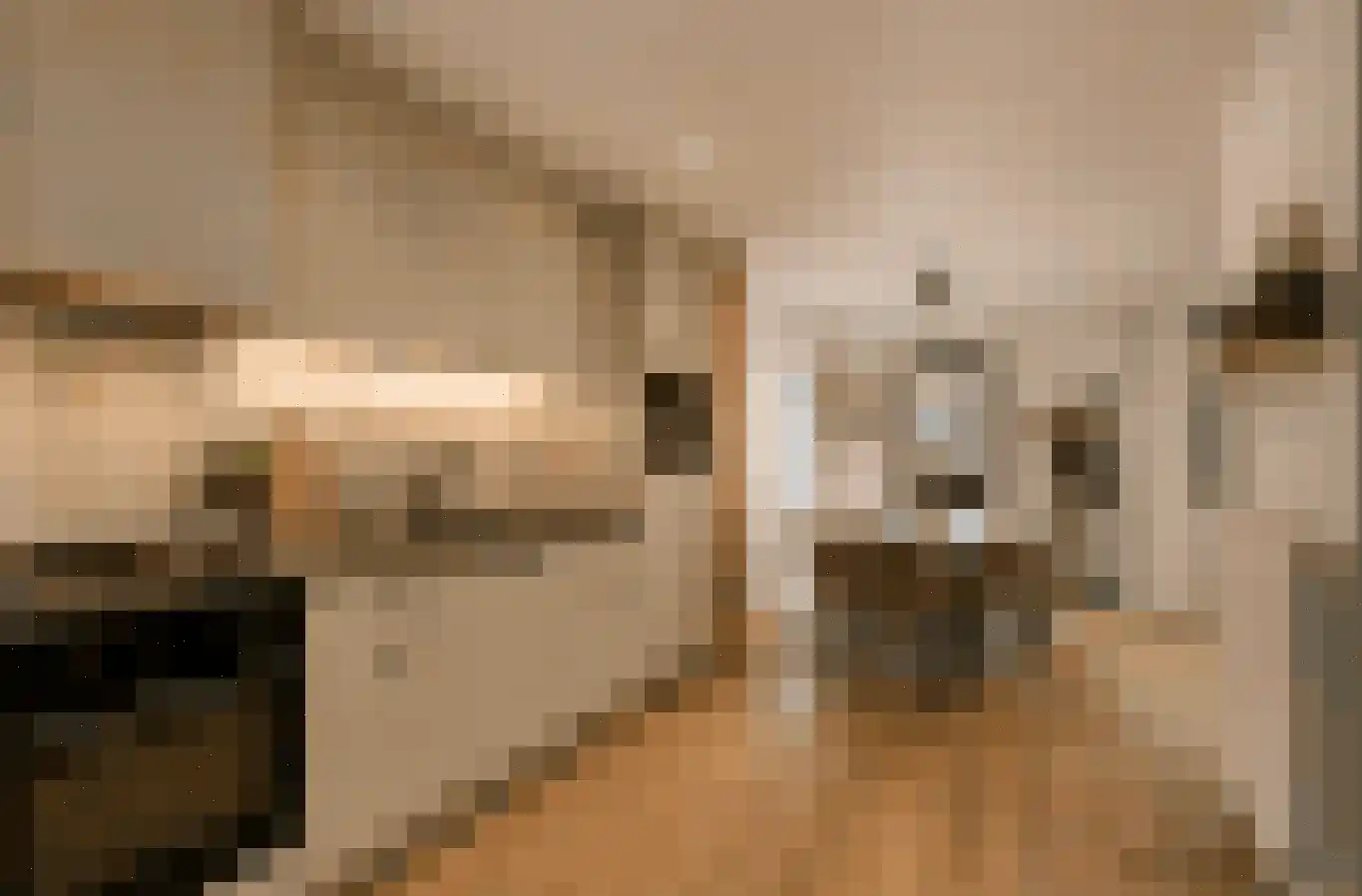 Tulpstraat 61 Losser thumbnail 15