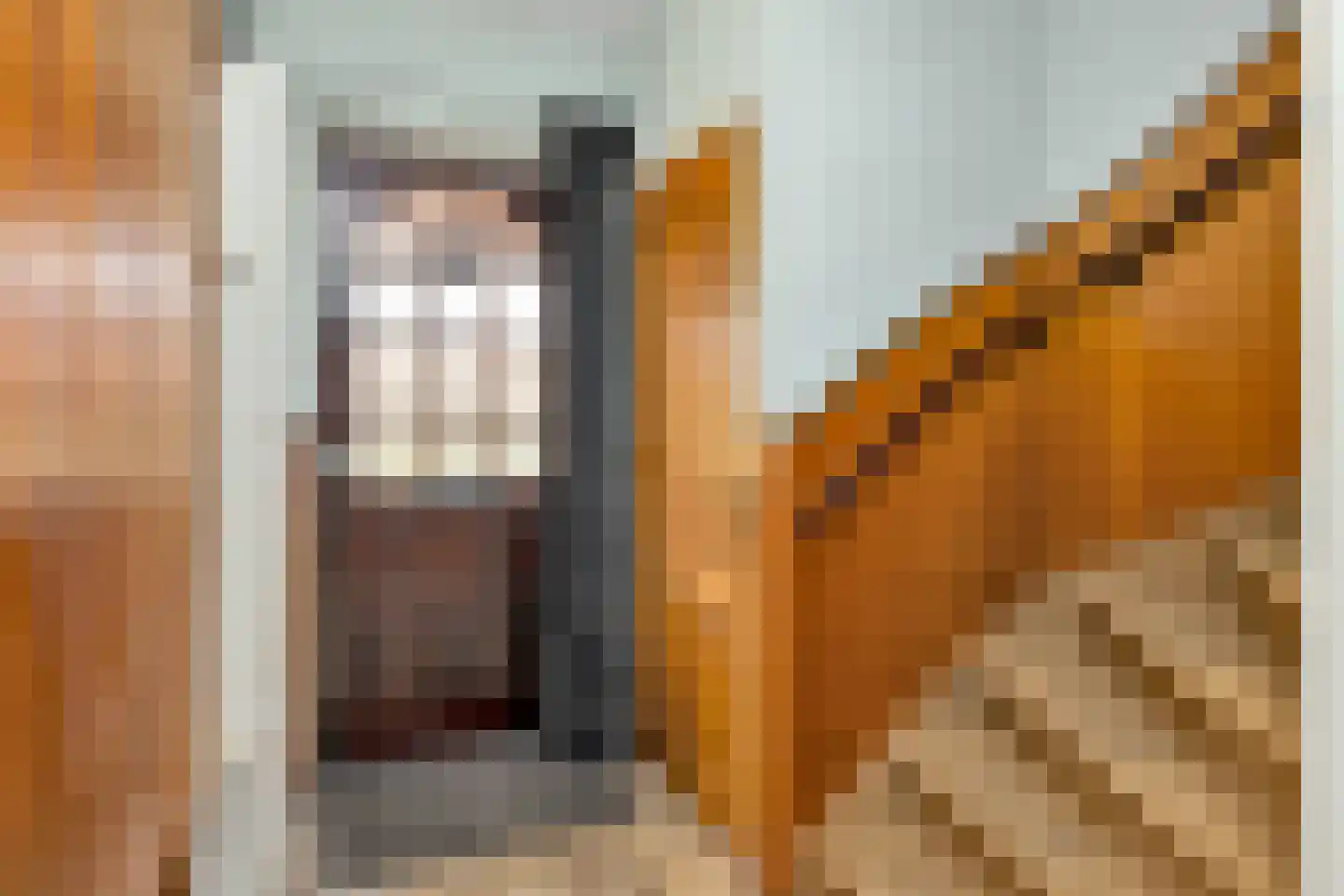 Tulpstraat 61 Losser thumbnail 20