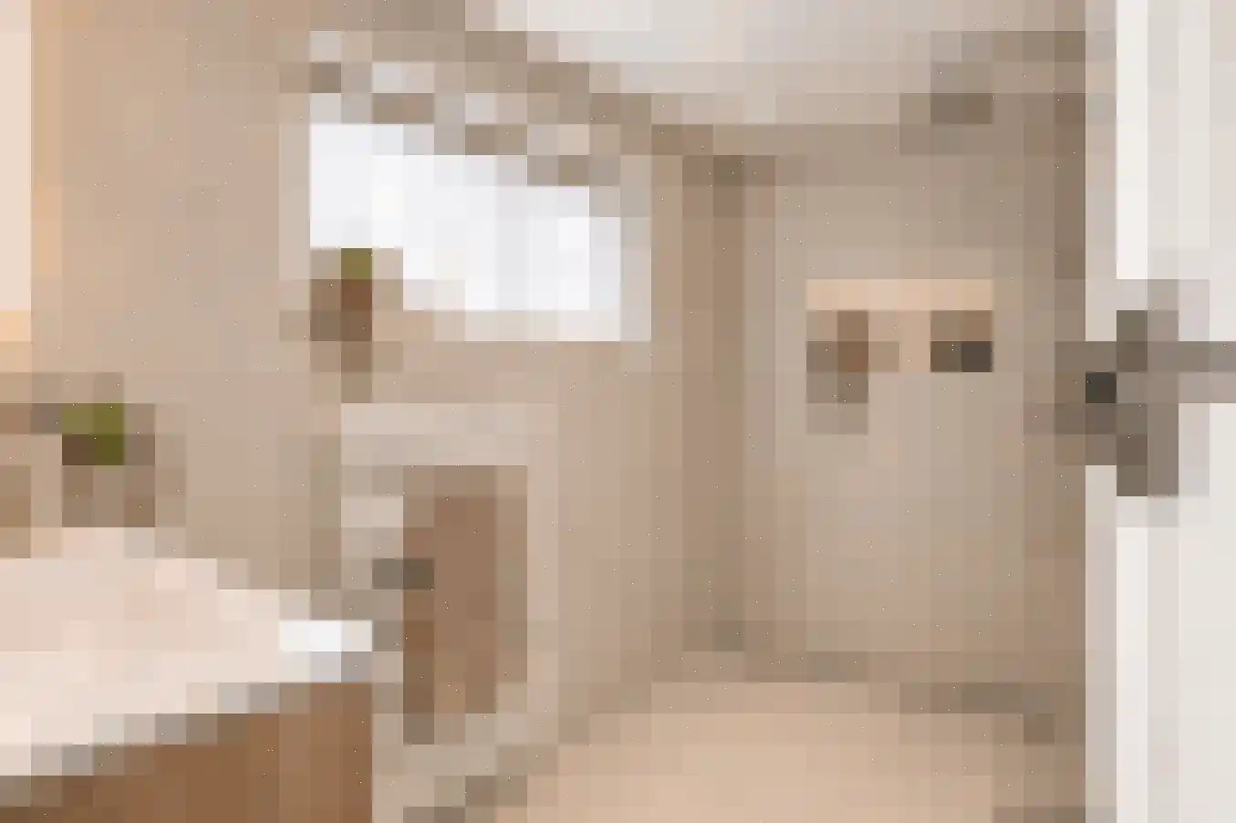 Tulpstraat 61 Losser thumbnail 31