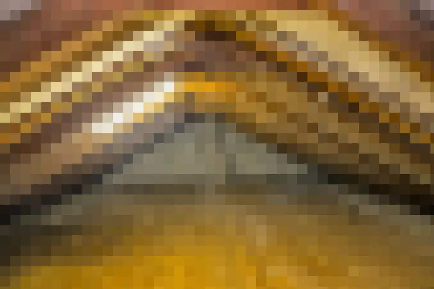 Tulpstraat 61 Losser thumbnail 33