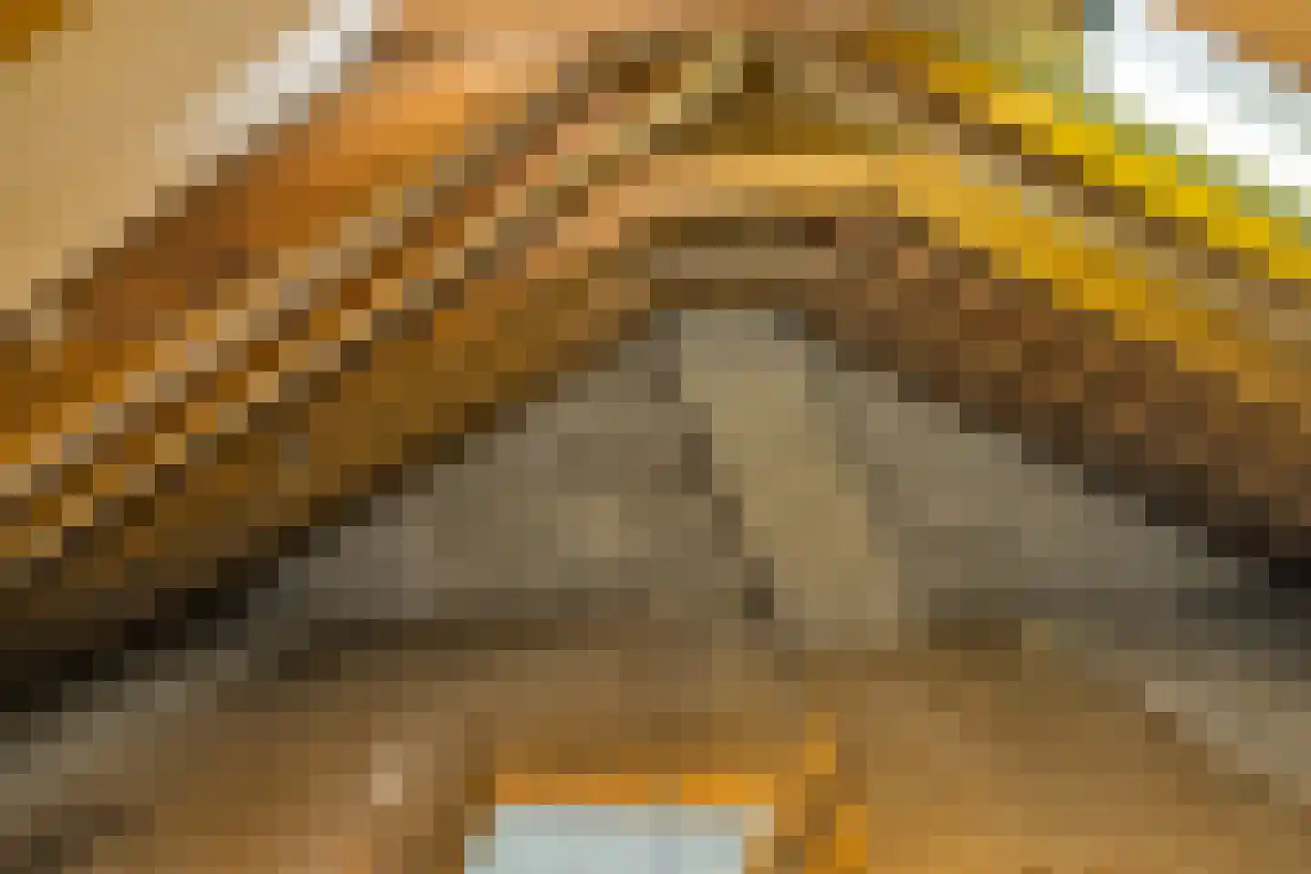 Tulpstraat 61 Losser thumbnail 34