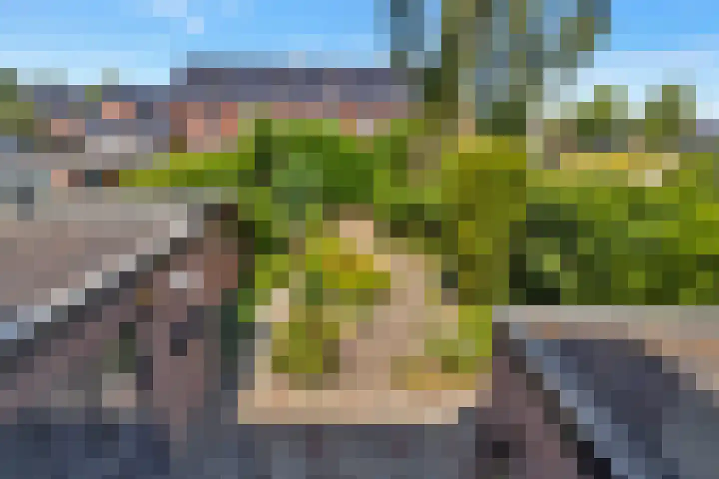Tulpstraat 61 Losser thumbnail 35