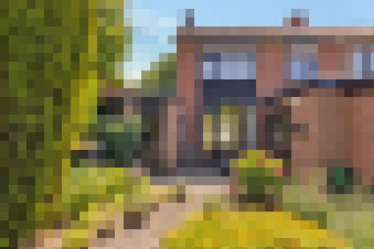 Tulpstraat 61 Losser thumbnail 36