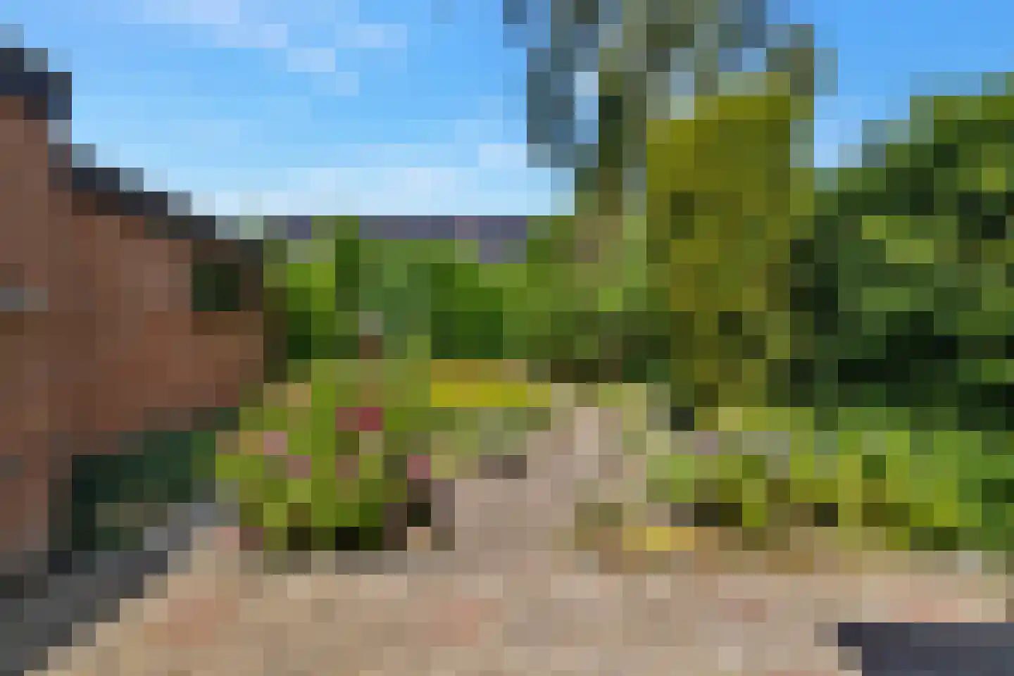 Tulpstraat 61 Losser thumbnail 37
