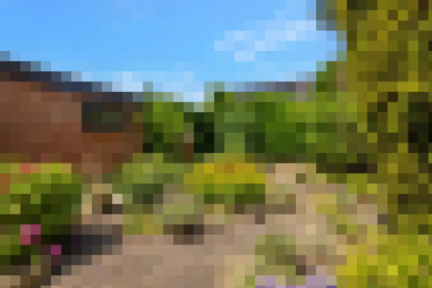 Tulpstraat 61 Losser thumbnail 38