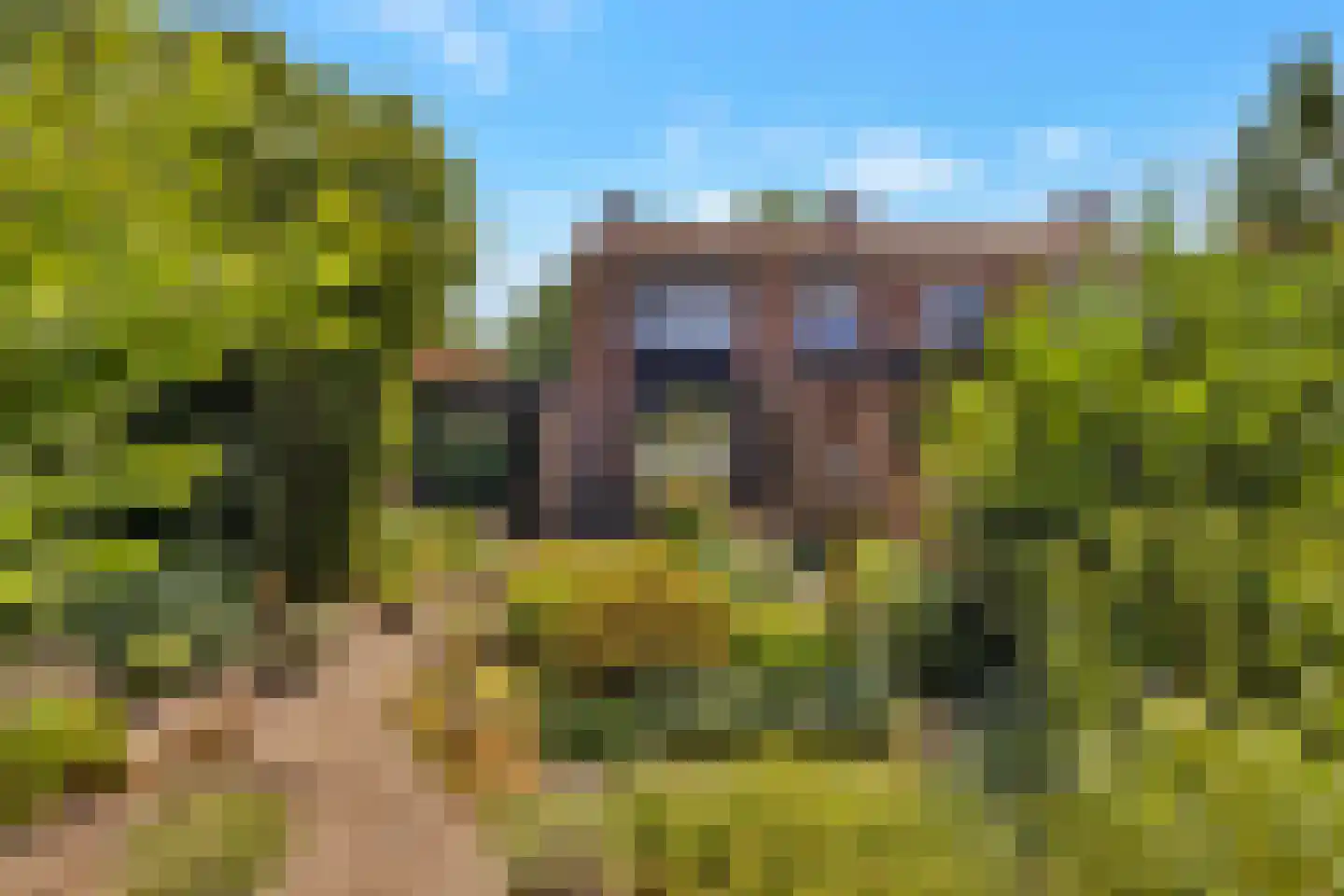 Tulpstraat 61 Losser thumbnail 40