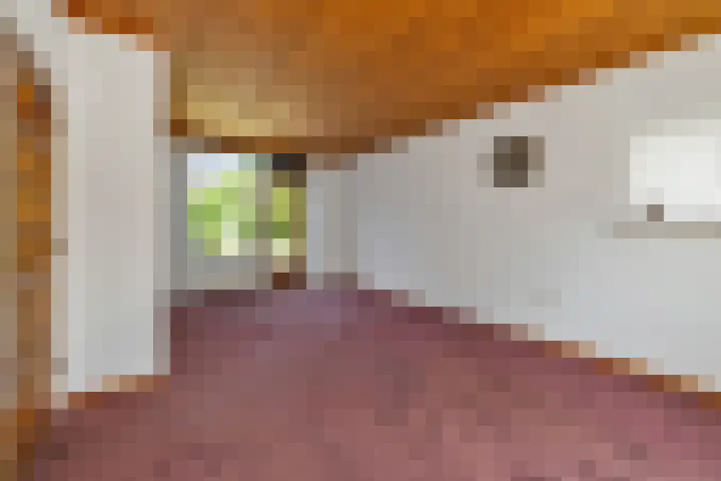 Tulpstraat 61 Losser thumbnail 5