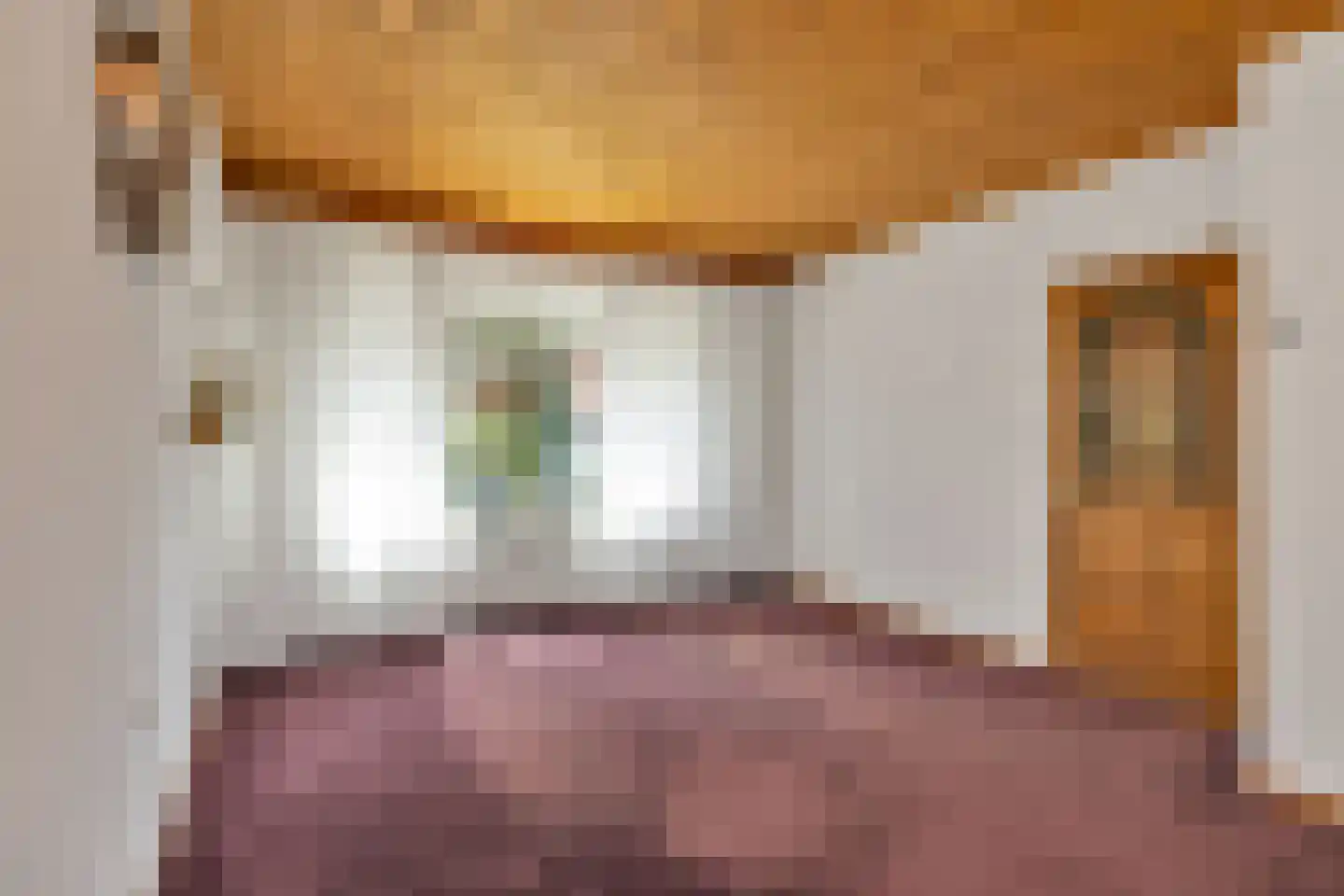 Tulpstraat 61 Losser thumbnail 8
