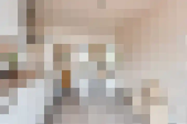 Tulpstraat 63 A Hilversum thumbnail 8