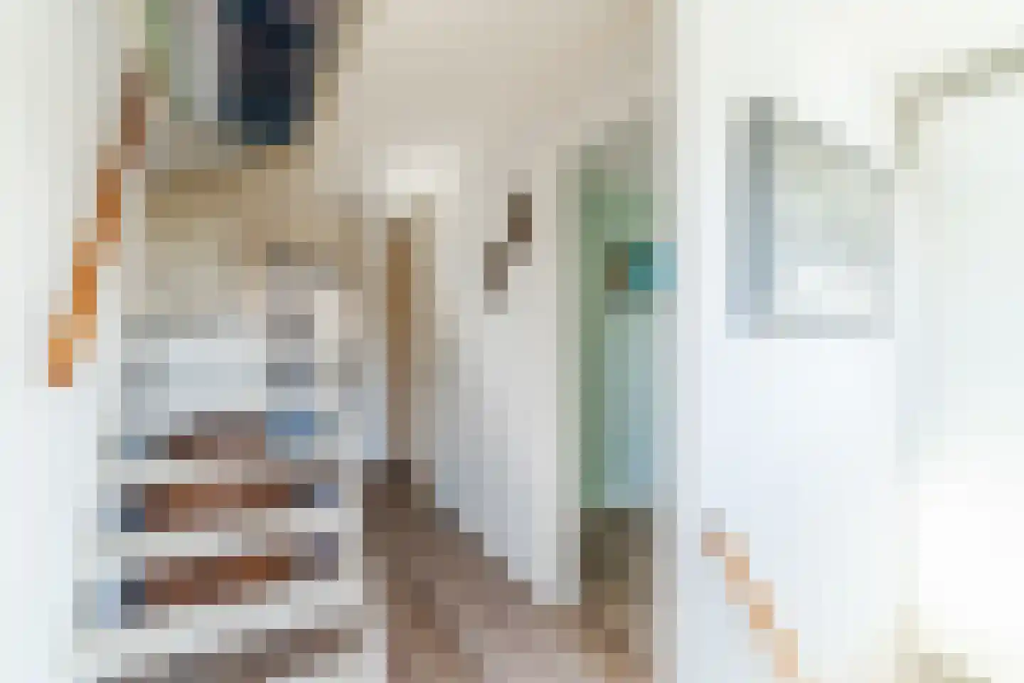 Tulpstraat 63 Culemborg thumbnail 36