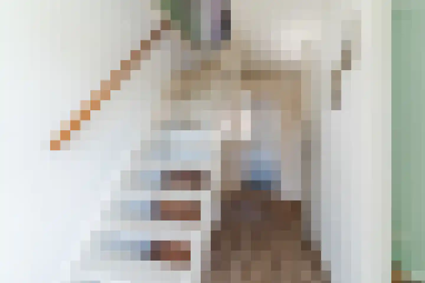 Tulpstraat 63 Culemborg thumbnail 37