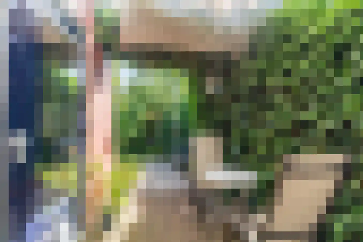 Tulpstraat 63 Culemborg thumbnail 47