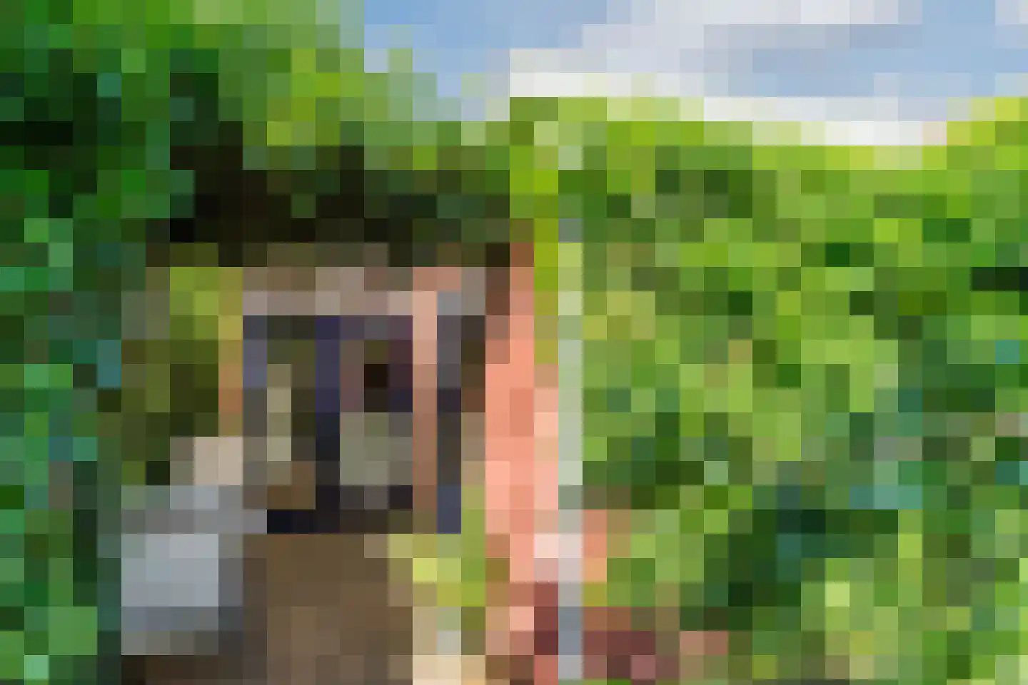 Tulpstraat 63 Culemborg thumbnail 50