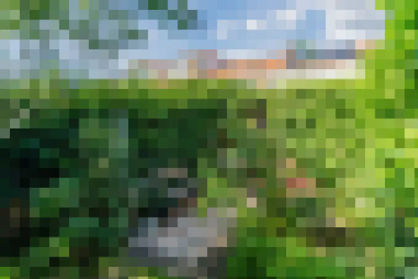 Tulpstraat 63 Culemborg thumbnail 51
